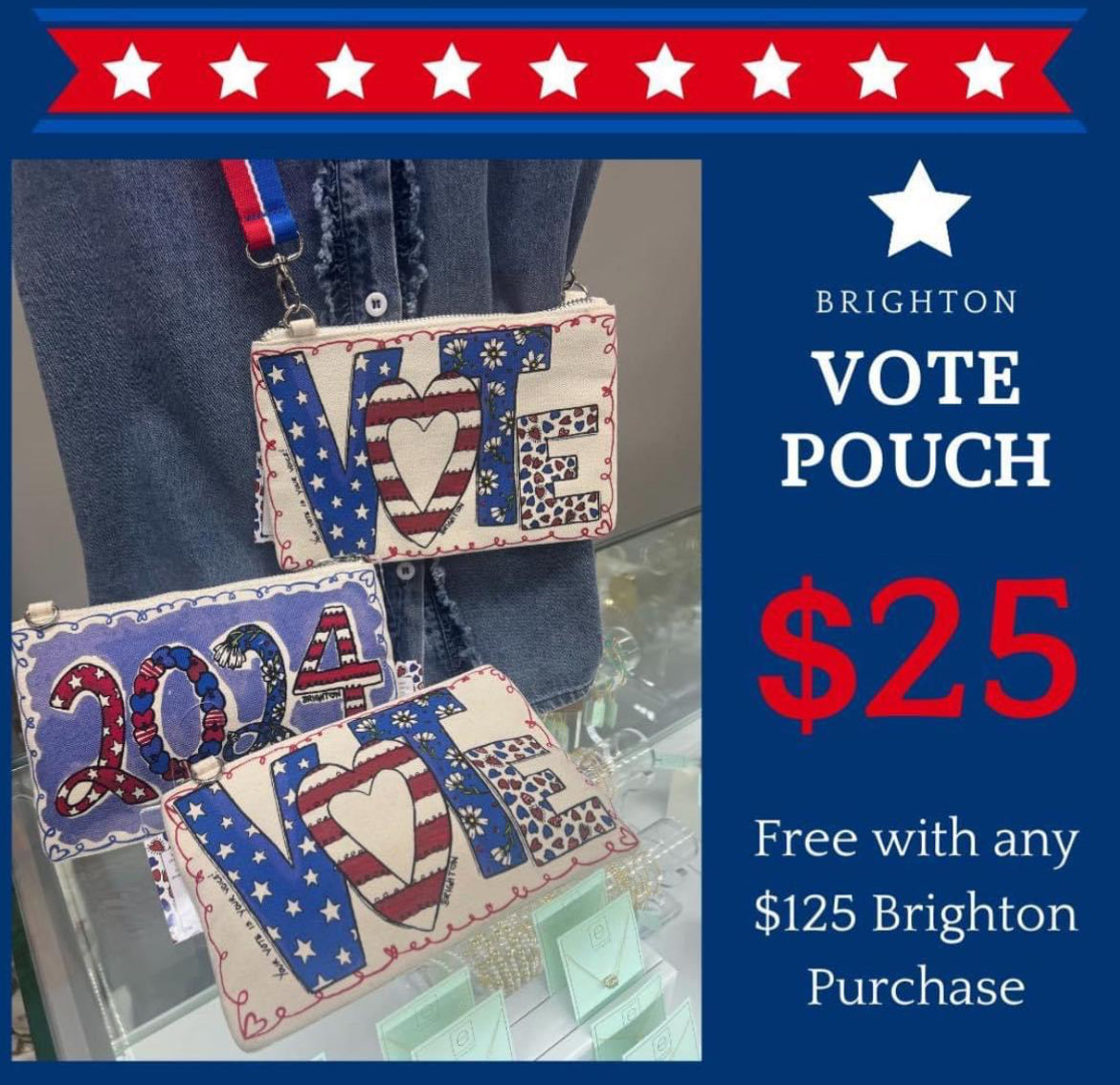 D30304 Brighton Election Day Pouch