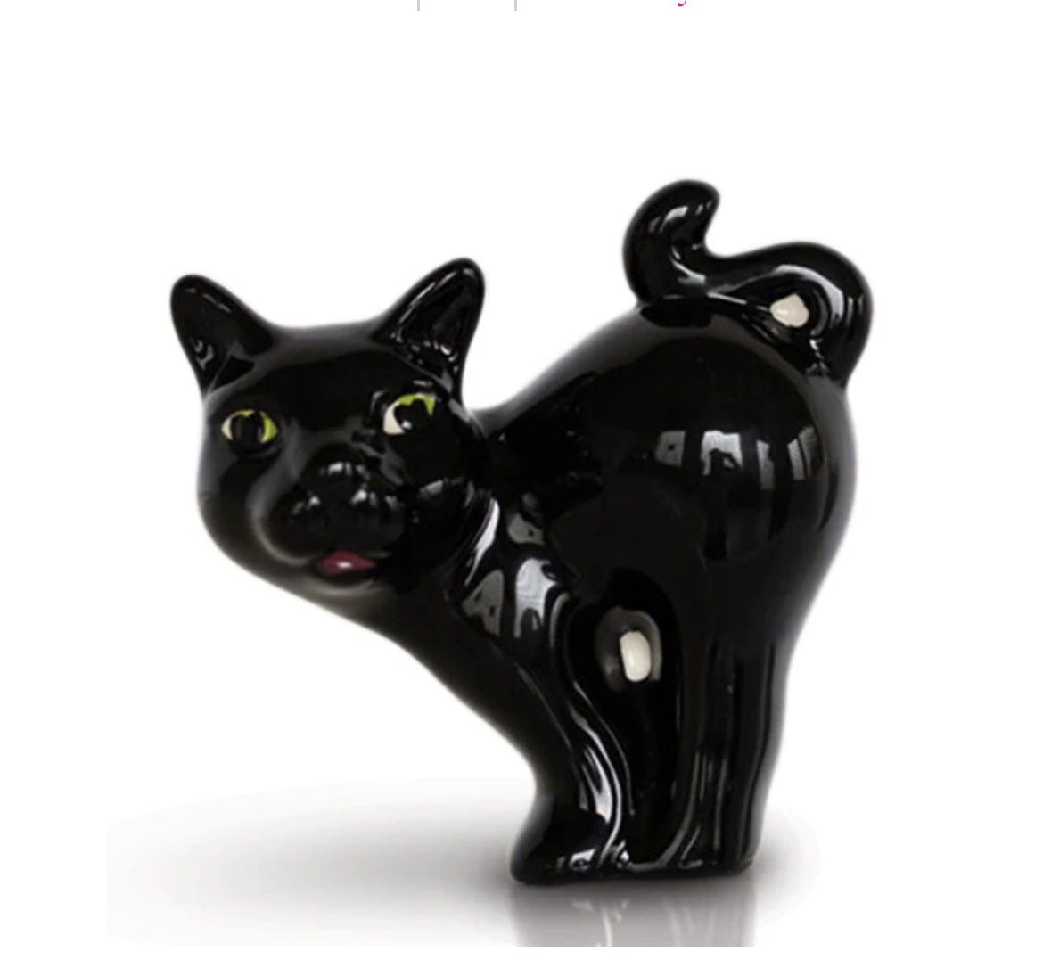 A419 Scaredy cat mini