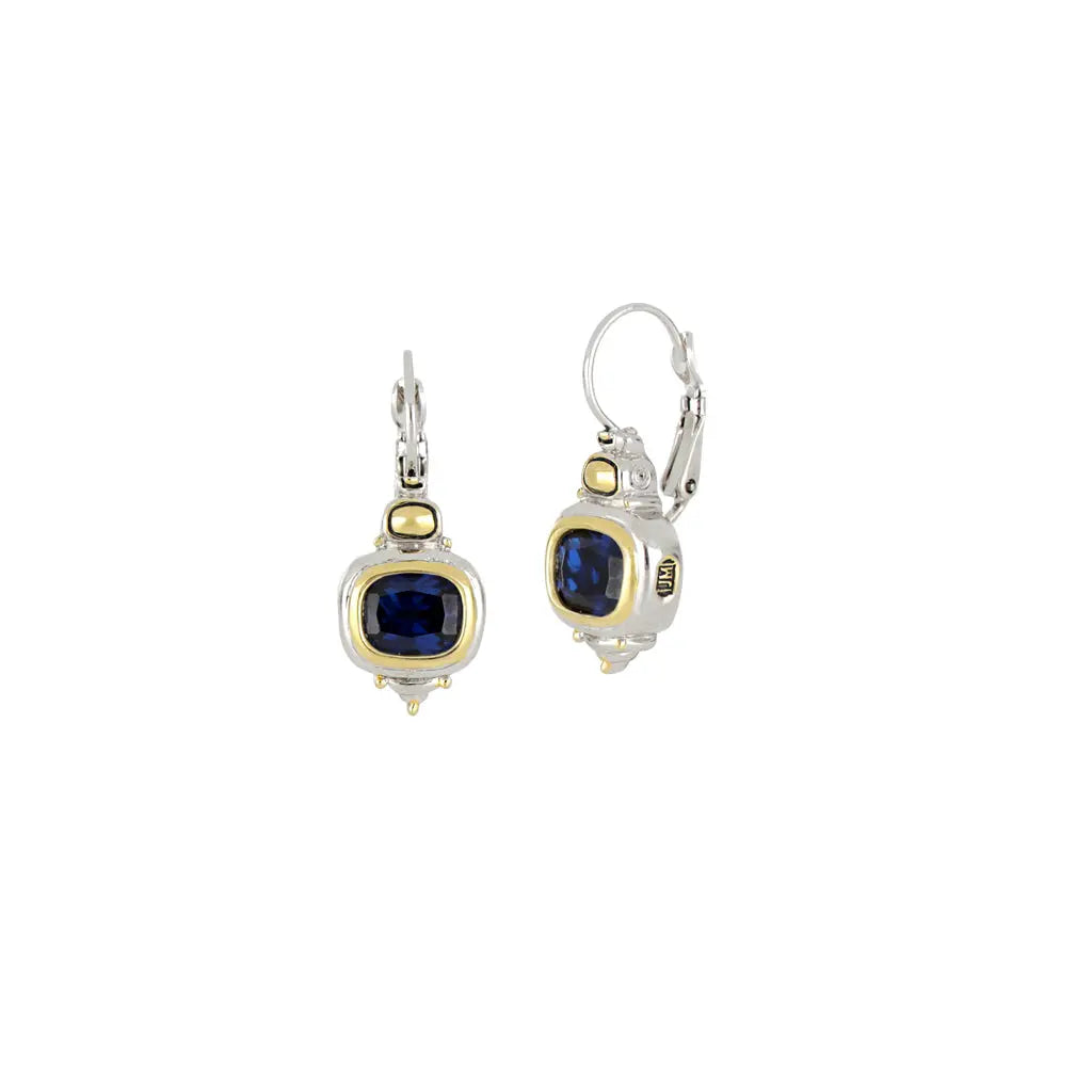 F2758-A200 INDIGO CZ/HORZ WR EAR