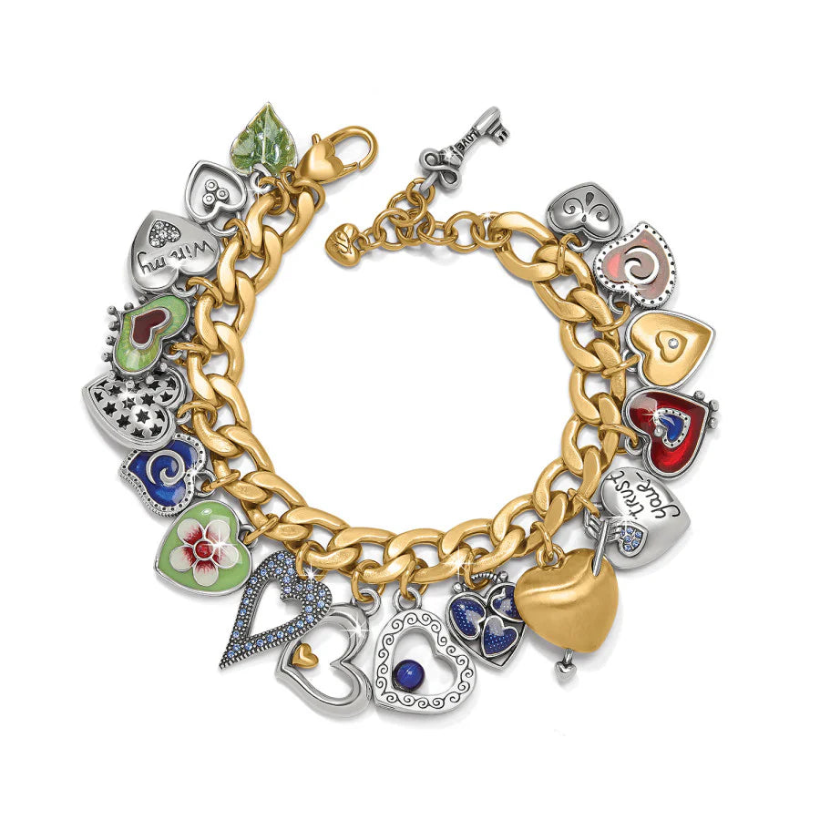 JF02092 One Heart Color Charm Br