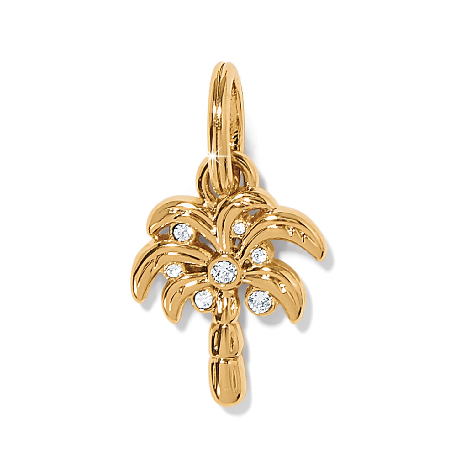 JC7202 Desert Palm Charm