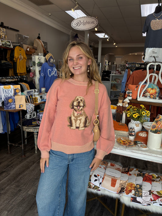 12W3674N Dog Intarsia Sweater Blush