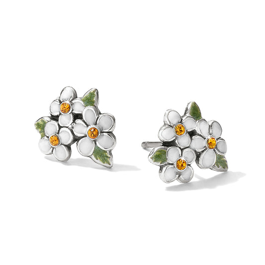 J20932 Always Mini Post Earrings