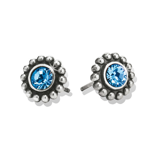 J20496 Twinkle Mini Post Earrin