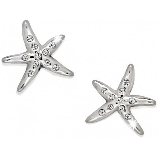 J20982 Silver/Stn Cape Star Mini Post