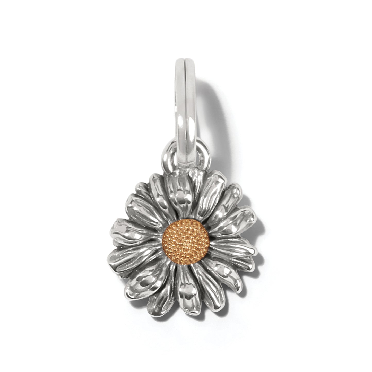 JC6772 Daisy Dee Daisy Charm