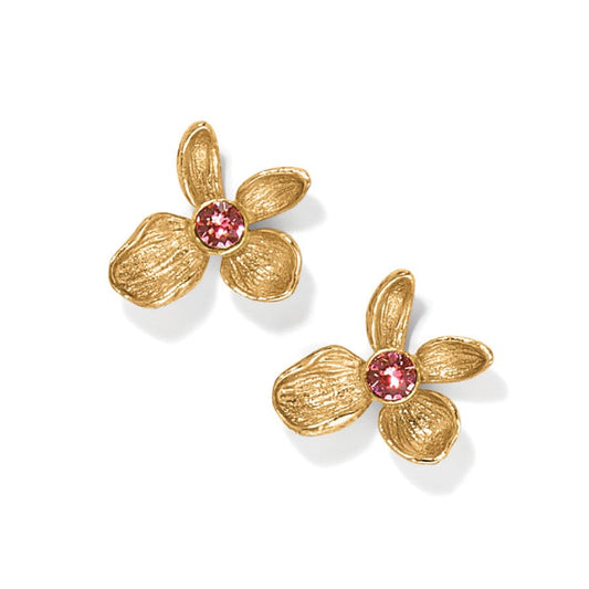 JA9890 Everbloom Jardin Golden