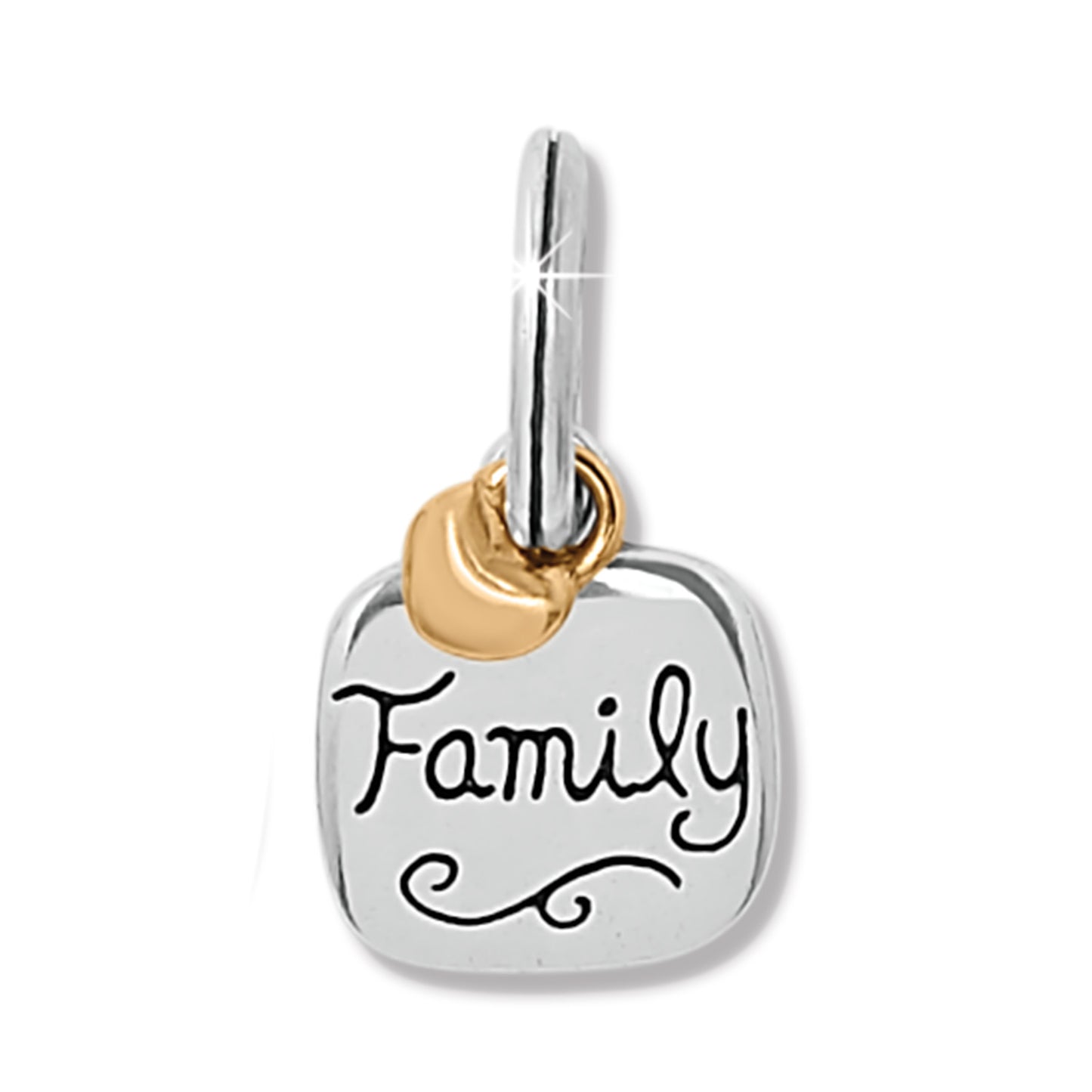 JC0242 Family Love Charm