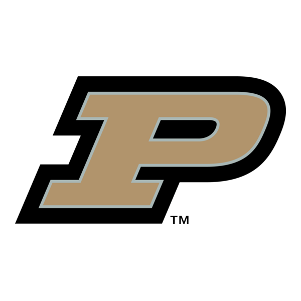 ECCBCLG3PURD eCOLLEGIATE Classic Gold 3mm Bracelet Purdue University