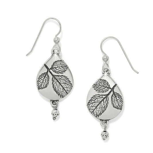 JA0226    NATURA TEARDROP FR WR