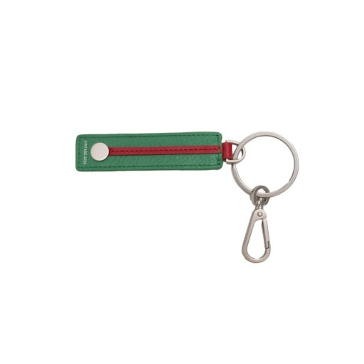 Key Lime Zest Brushed Silver**